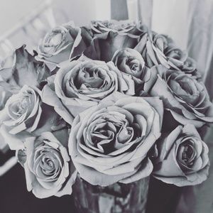 Meet your Posher, Karla